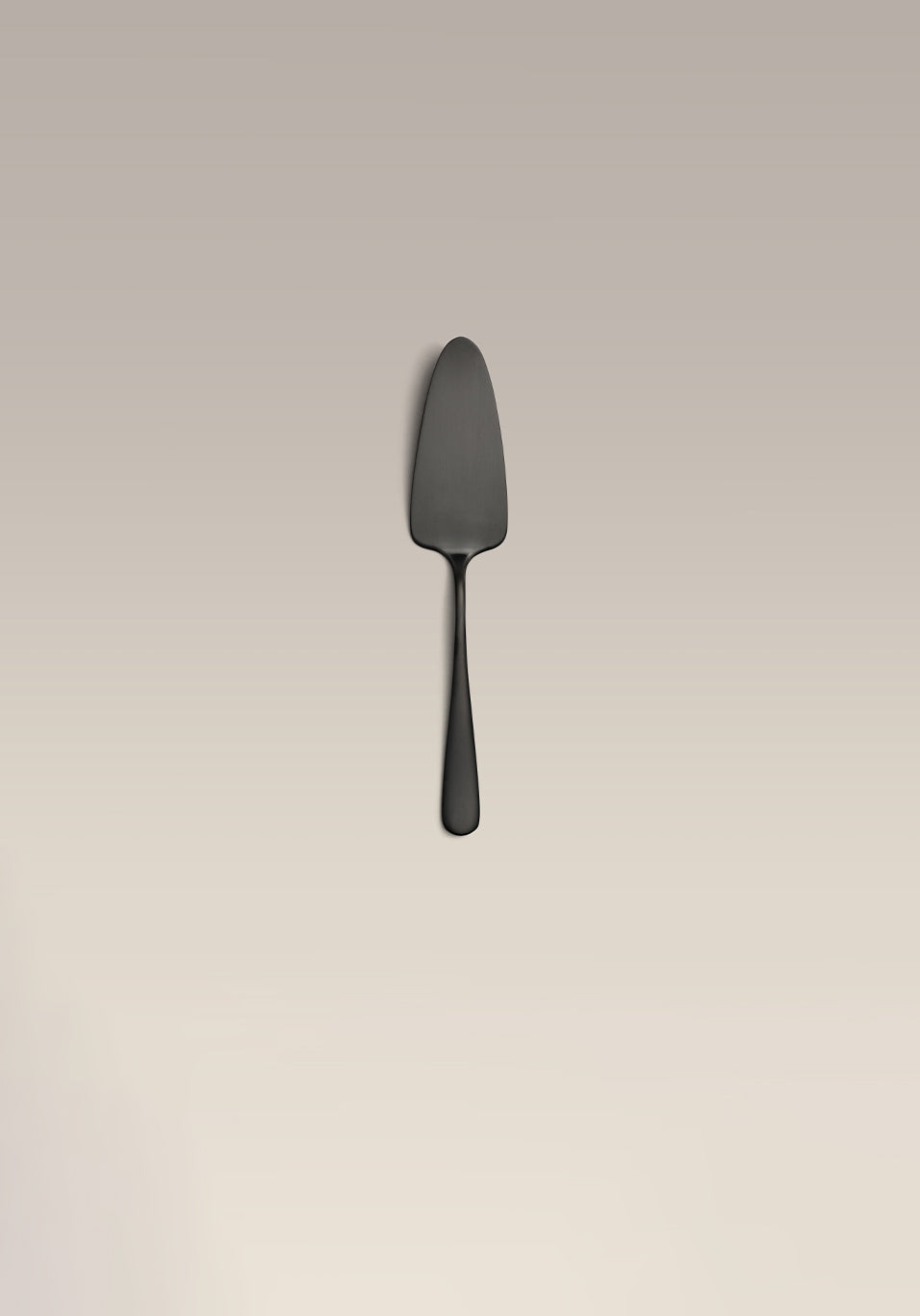Cake Server