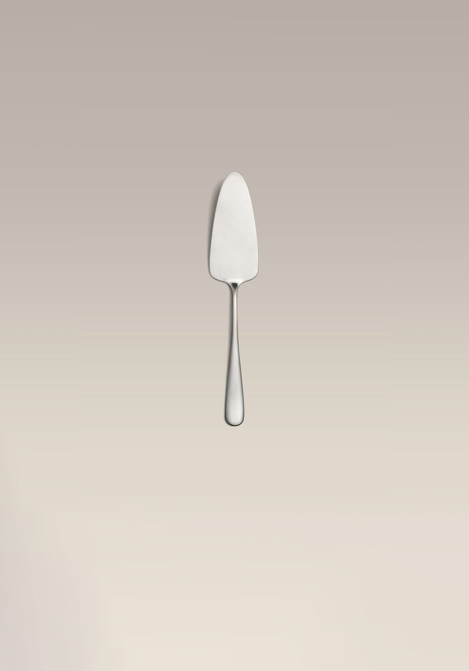 Cake Server