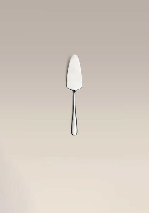 Cake Server